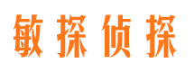 岷县市侦探调查公司